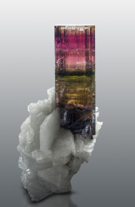 A colorful tourmaline accompanies Dr. Federico Pezzotta's lecture on hunting tourmalines in Madagascar.